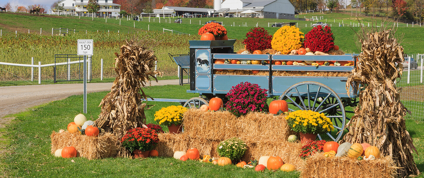 fall themed cart